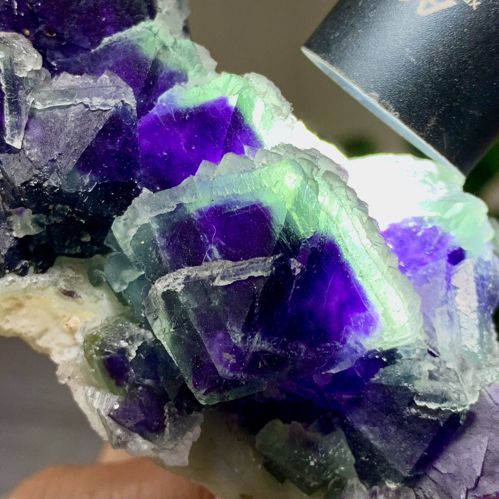 294G Rare transparent purple octahedron fluorite mineral crystal sample/China