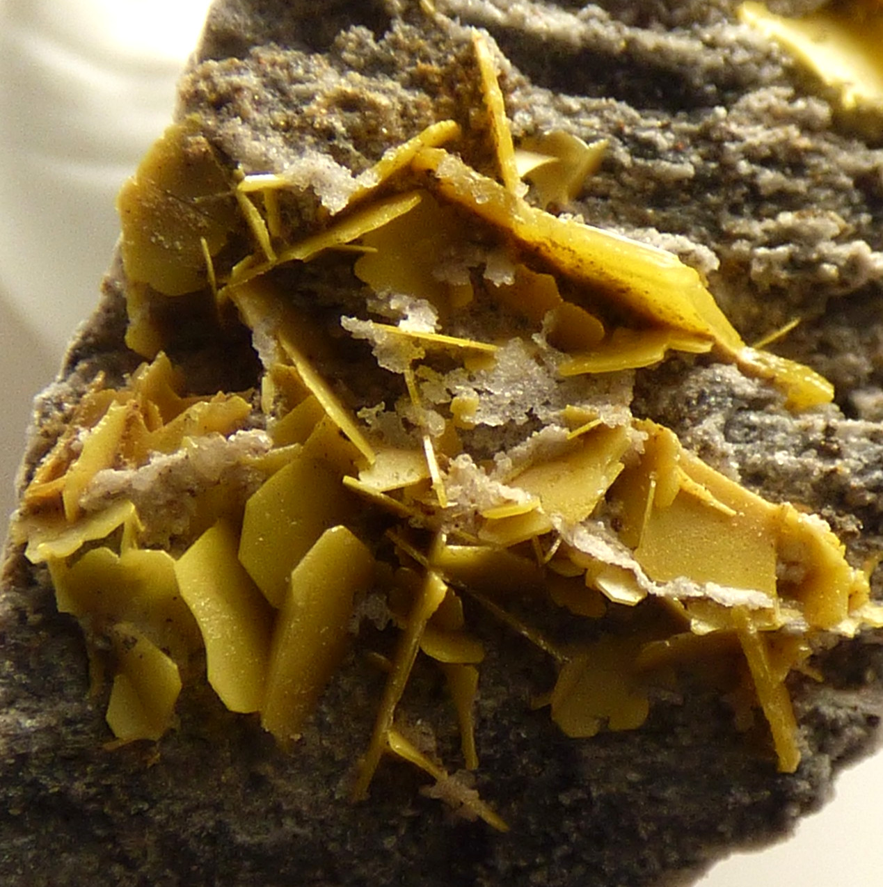 Yellow Wulfenite Crystals El Centenillo Mine Spain Mineral Specimen 34mm