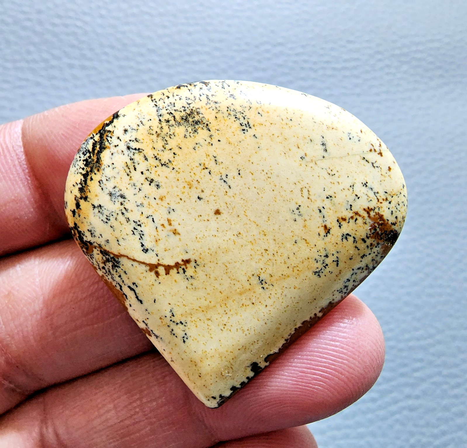 64ct Wonderful Picture Jasper Cabochon Oval Gemstone – Natural Jewelry Collector