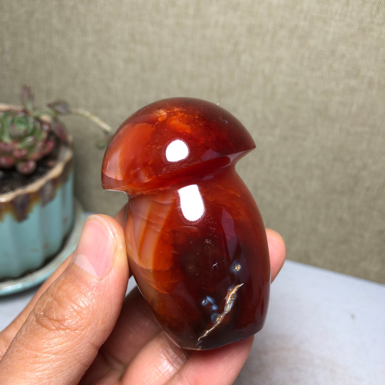 62-40-40mm Rare NATURAL red agate mushroom polishing Crystal specimen 141g A3770
