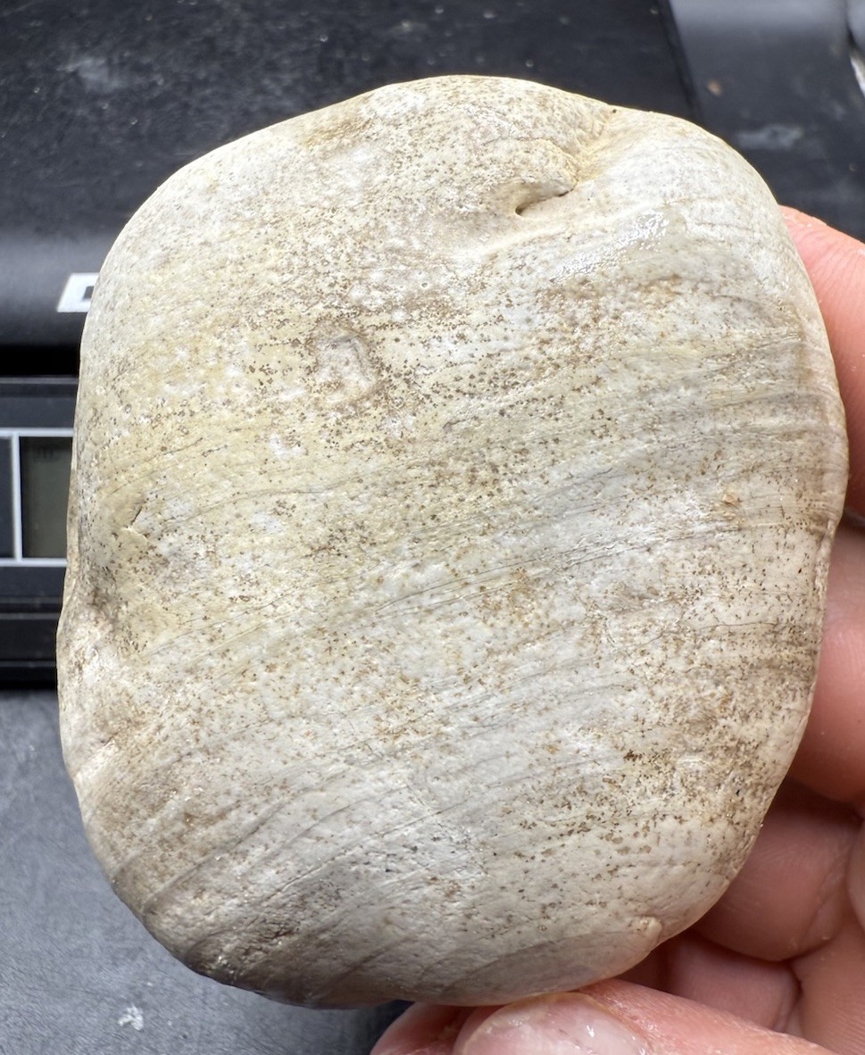 Lake Superior Fossil White Agate Stromatolite 1,100 Carats