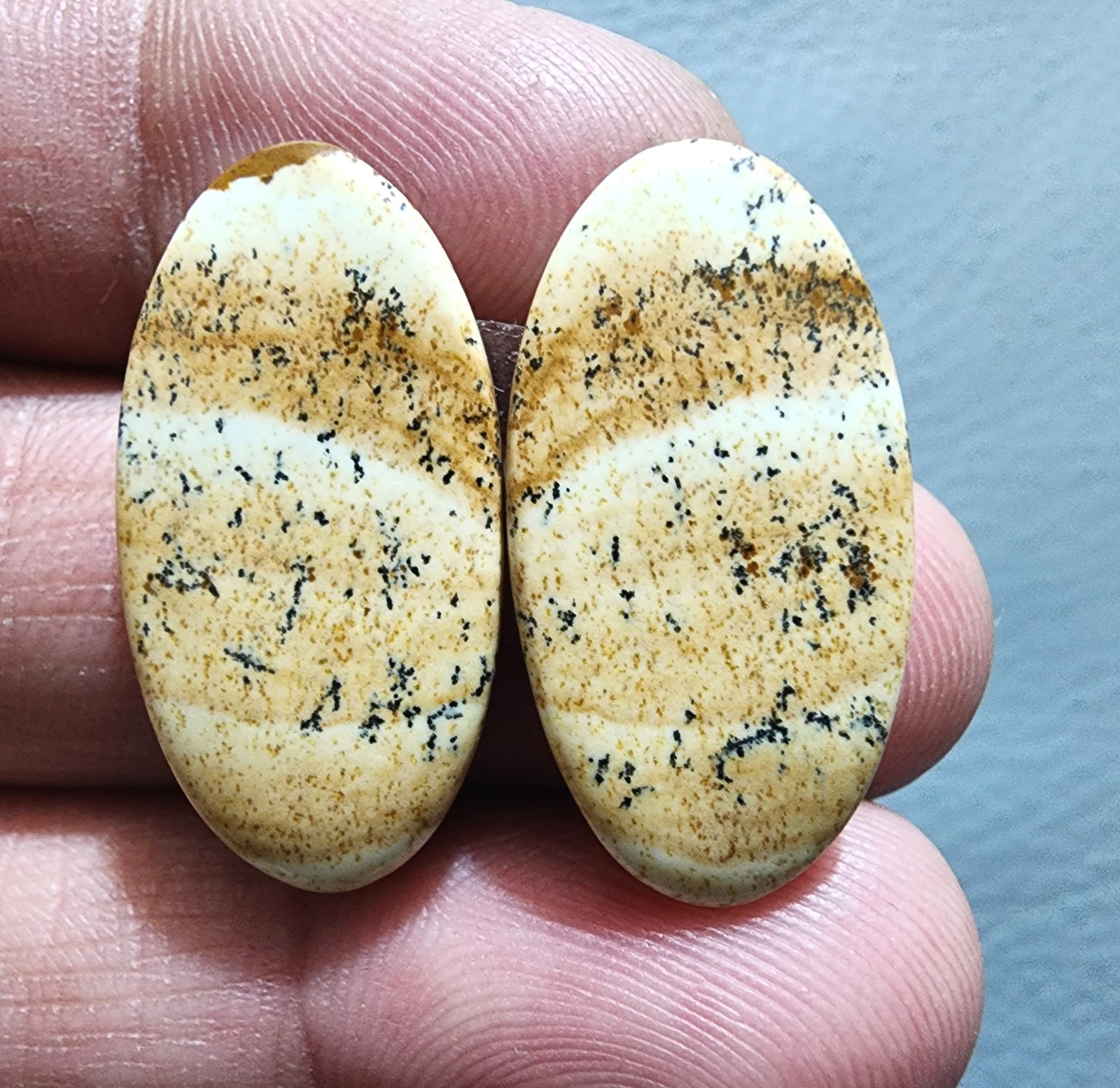 Beautiful Picture Jasper Oval Cabochon Matching Pair 29.70Cts Natural Gem