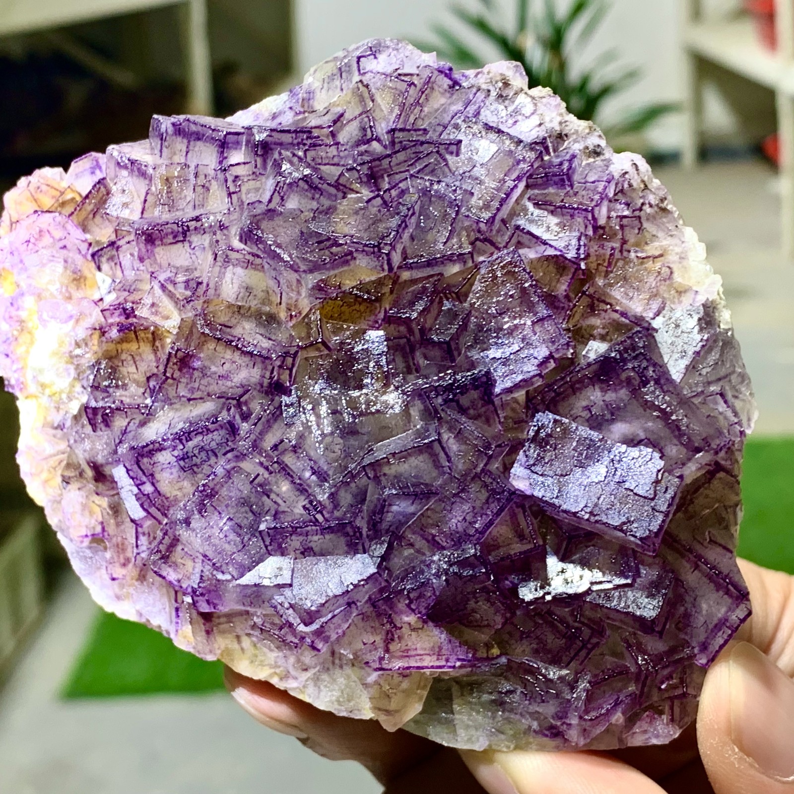 443G Inner Mongolia Natural Fluorite Purple Edged Cube Crystal Mineral Specimen