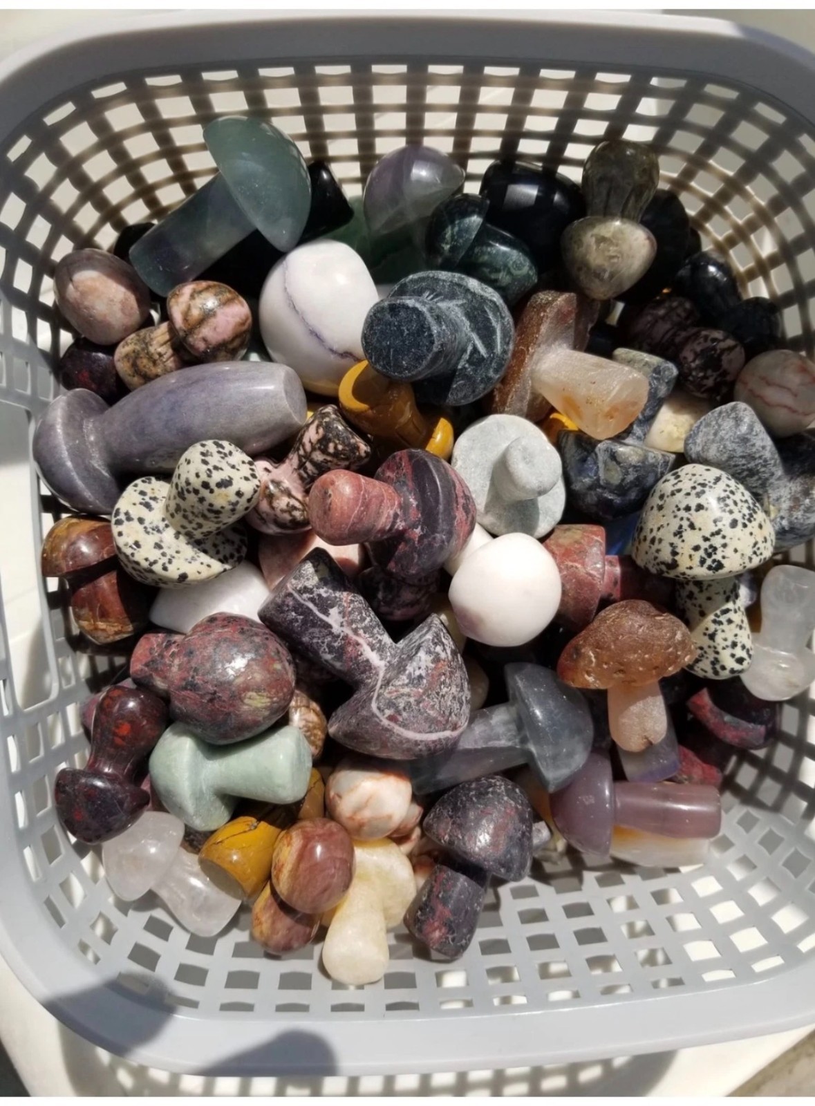 Crystal 5.5lb Mystery Scoop – also comes with 1–2 mystery