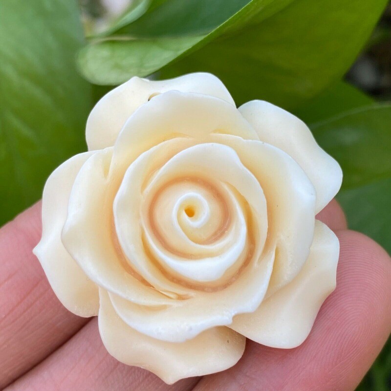 Natural Genuine Tagua Nut Flowers Hand Carved Decoration Reiki Healing 1PC