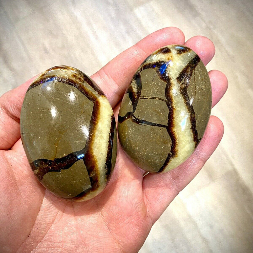 Septarian Crystal Dragon Stone Healing Crystals Yoga Reiki Meditation Minerals