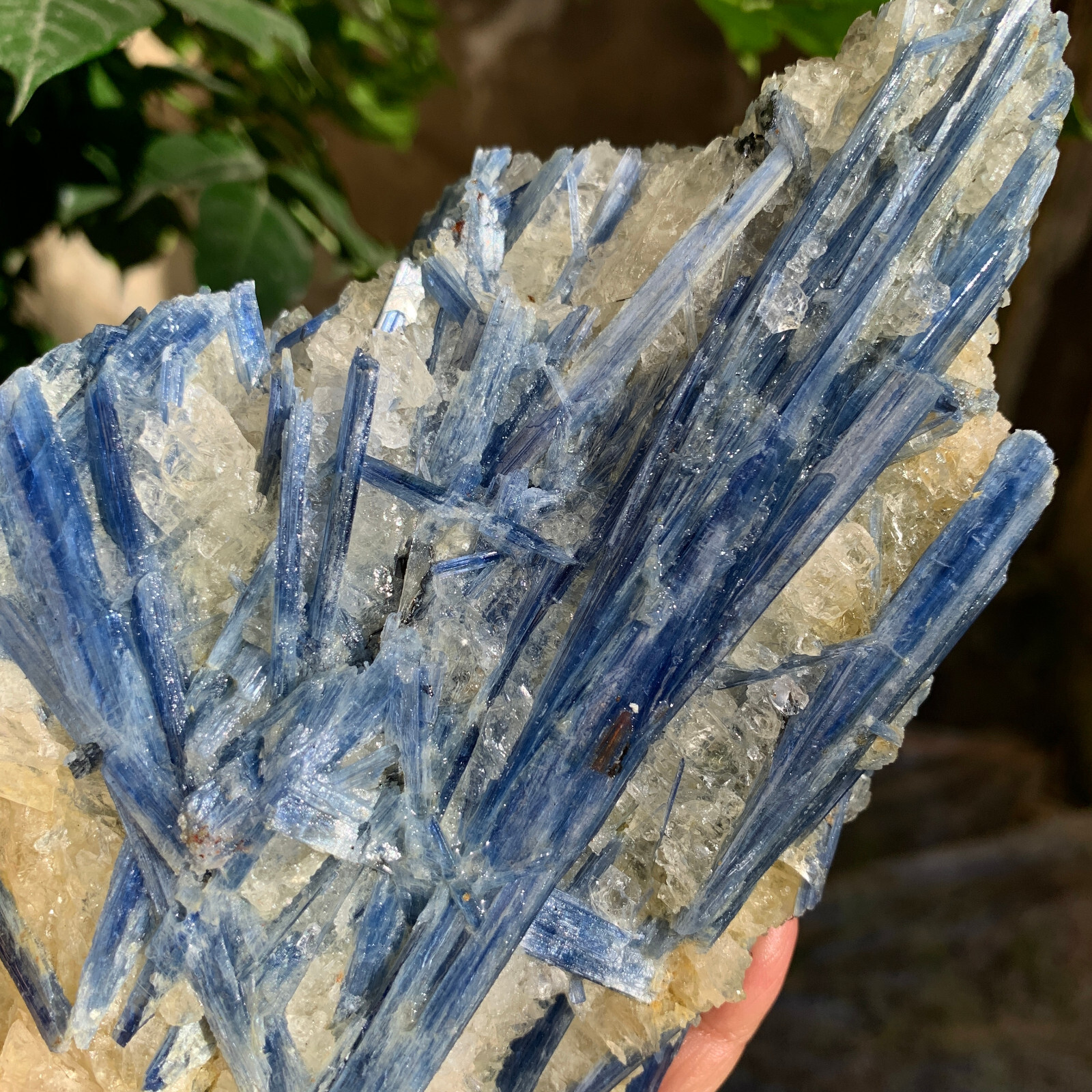 2.24LB Natural beautiful Blue KYANITE with Quartz Crystal Specimen Rough