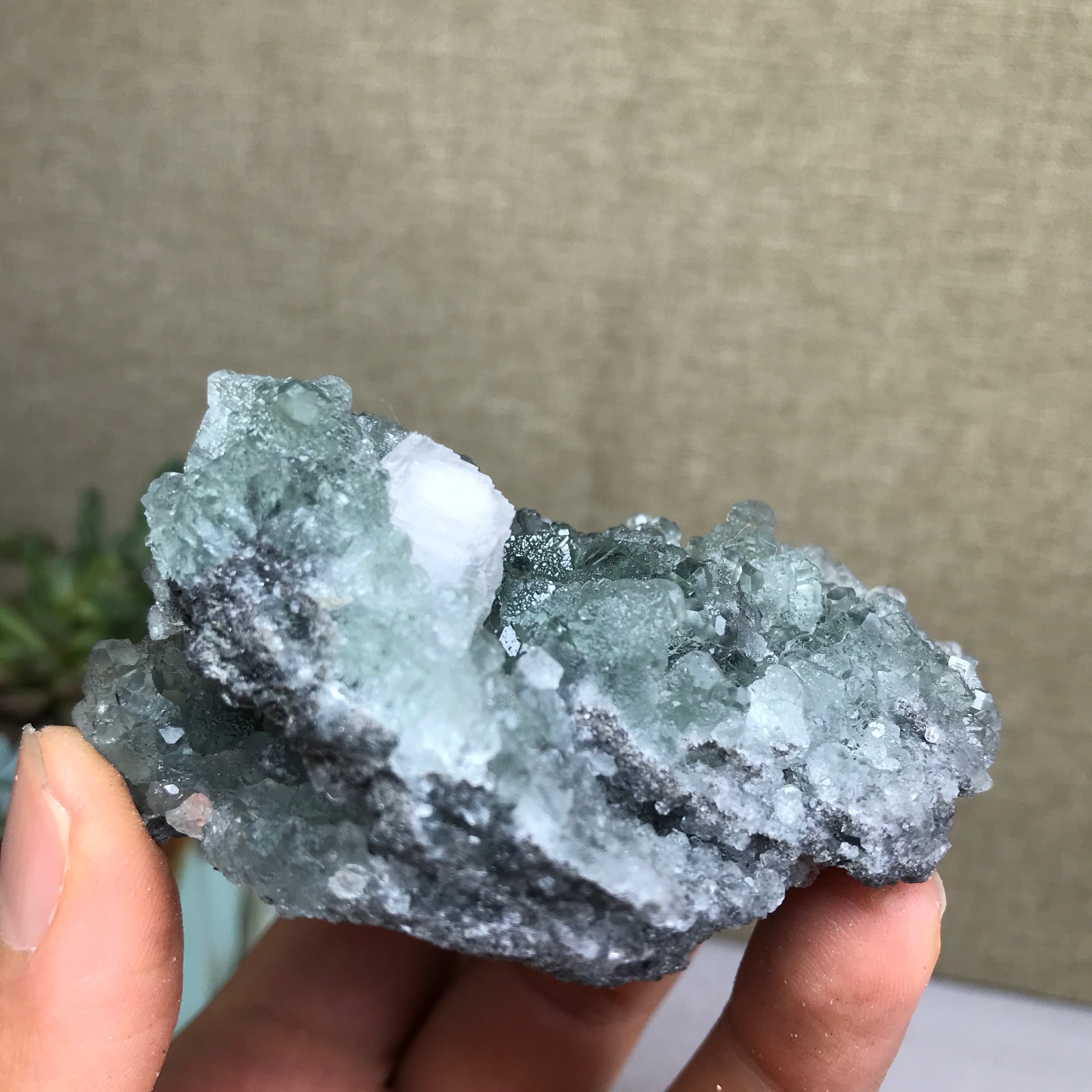 141g NATURAL Green Cubic FLUORITE paragenesis Crystal Cluster Specimen A4783