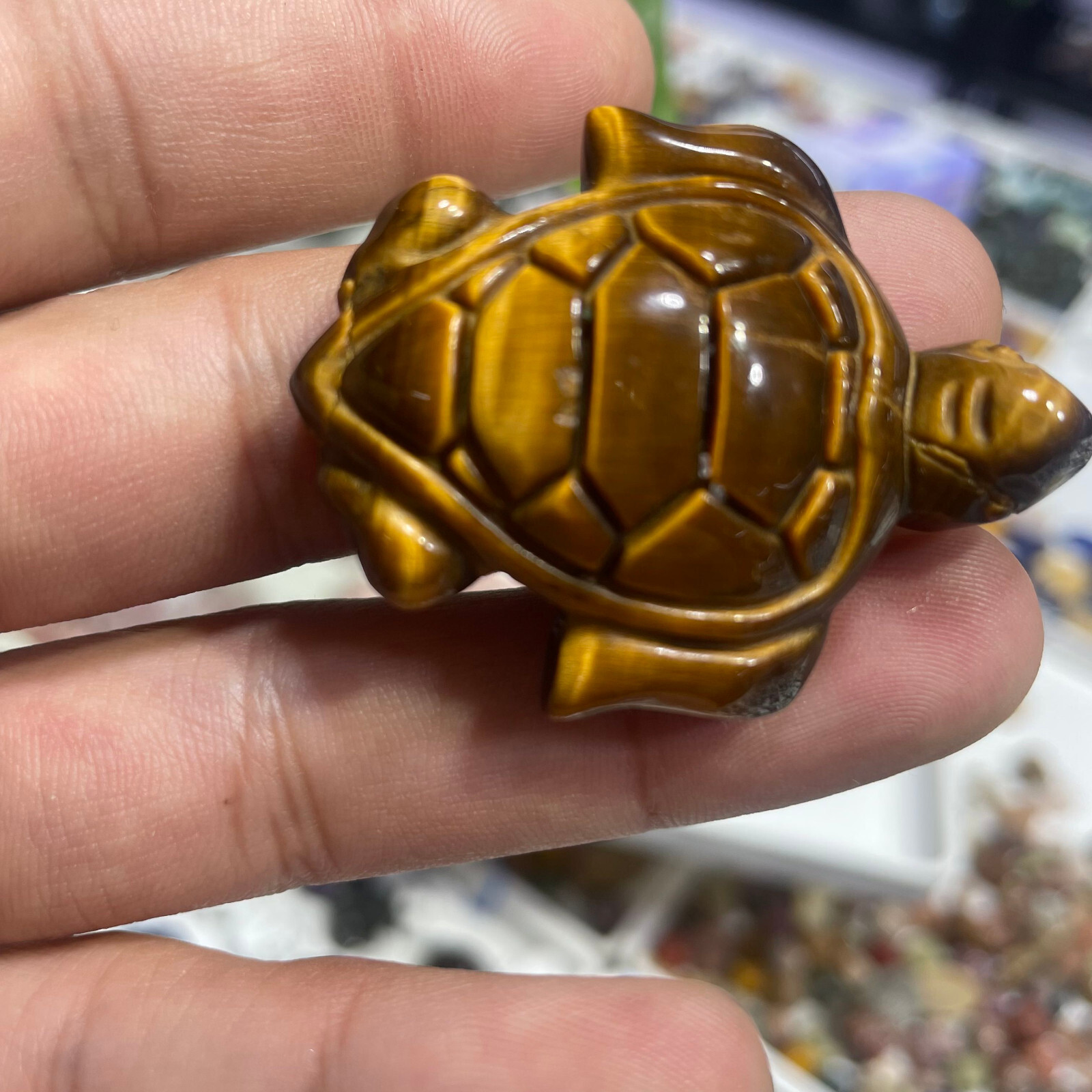 Natural Tiger eye tortoise Quartz Skull Crystal Specimen Reiki Healing Gift 1PC