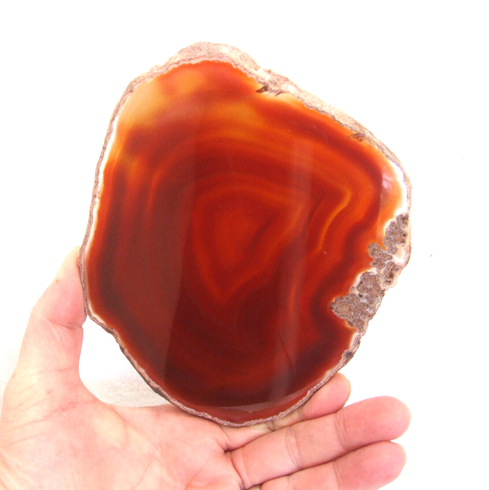Orange Agate Slice with Quartz Crystal Extra Large Banded Geode Slice 13cm