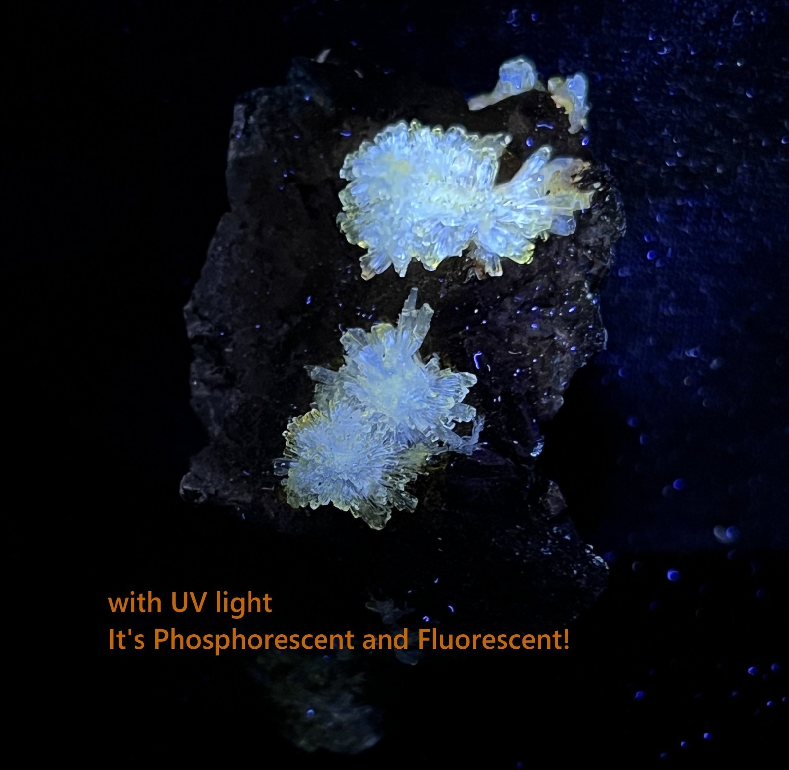 62mm Carlhintzeite & Creedite on matrix, PHOSPHORESCENT & FLUORESCENT