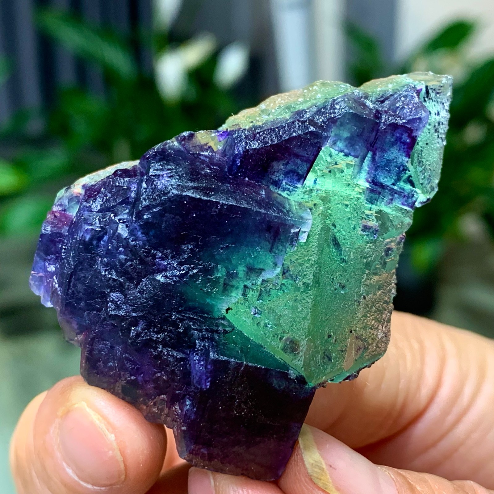 50G Rare transparent green purple cubic Zhejiang fluorite mineral sample