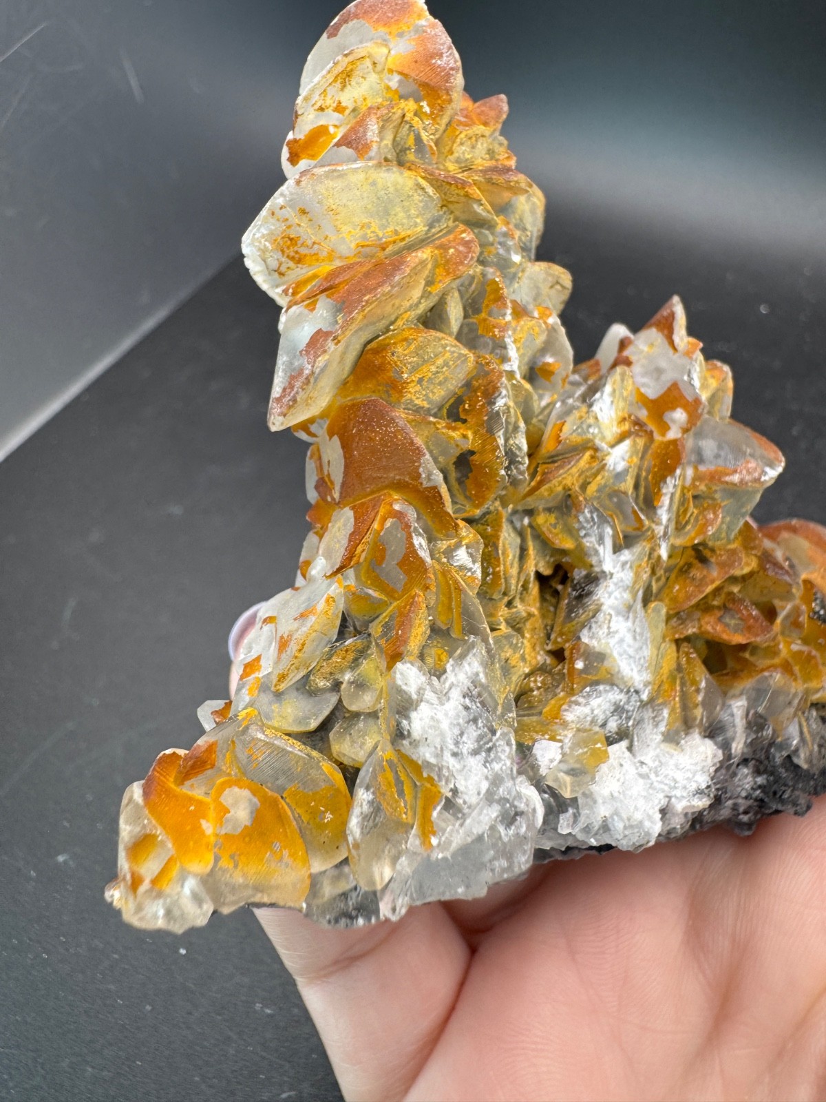 6642 Double Sided Shell Calcite Formation Fu Jian 175g