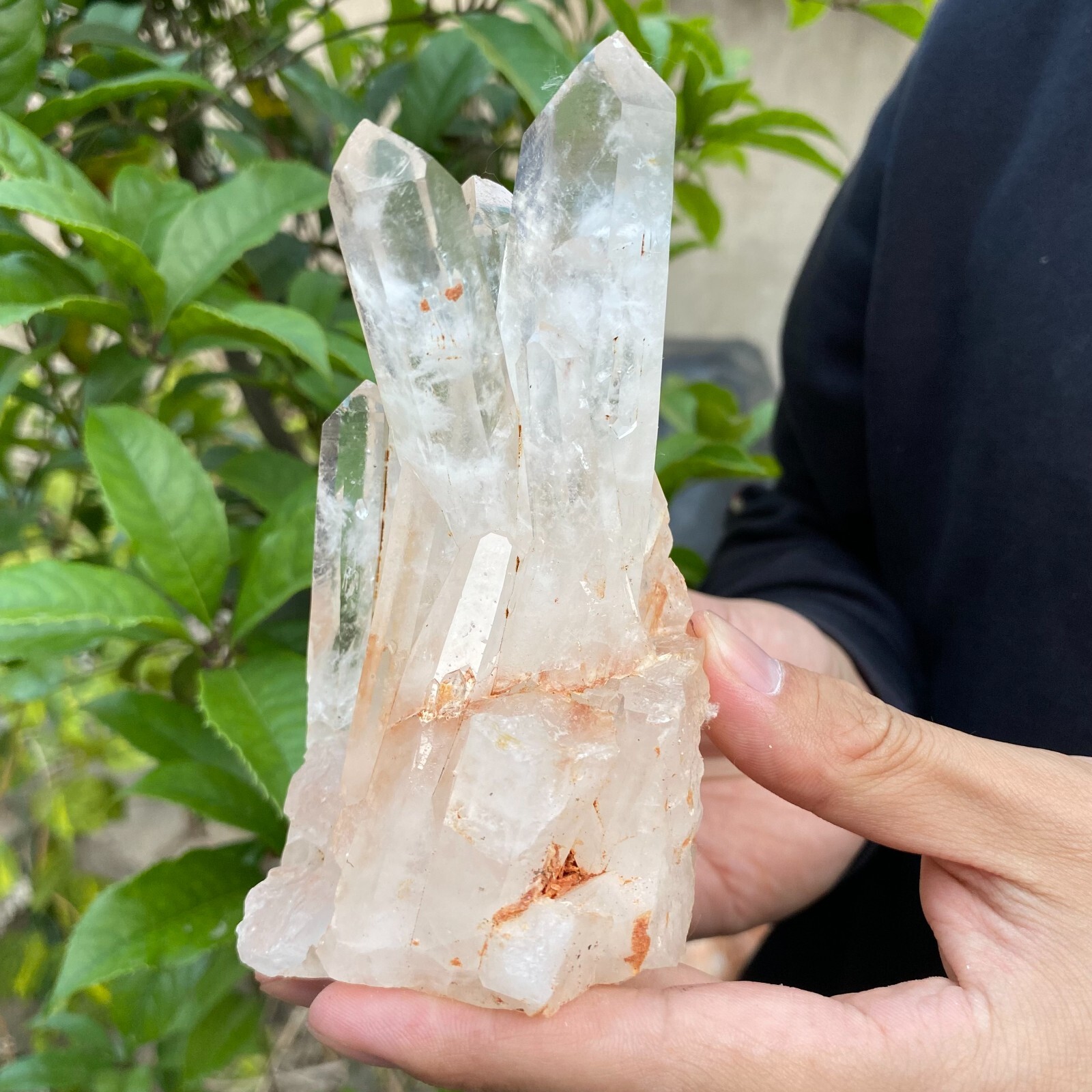 1.2lb Natural Clear White quart Crystal Cluster Raw Healing Specimen