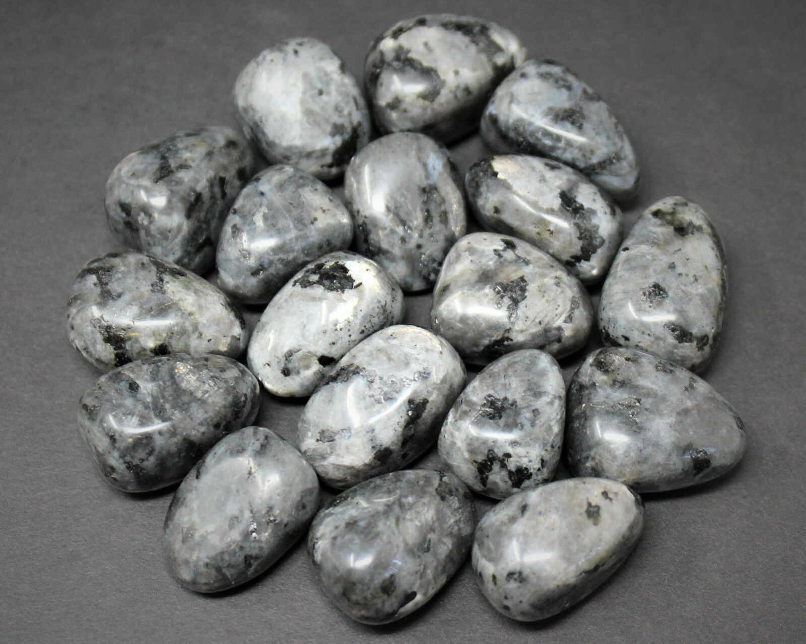 4 oz Larvikite Tumbled Stones: ‘A’ Grade Natural Polished Crystals 1/4 lb Bulk