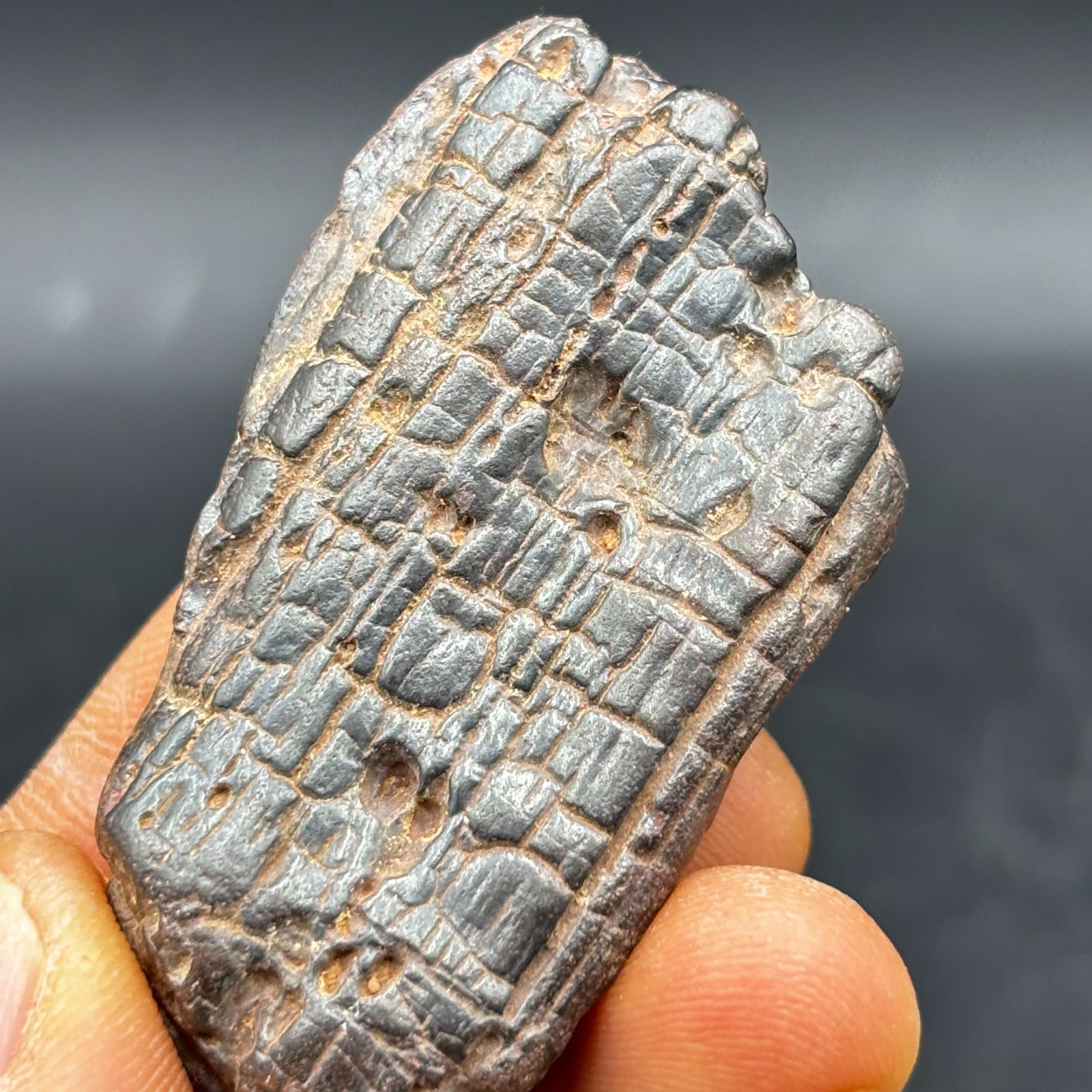 RARE Stony meteorite Natural Meteorite iron BOXHOLE, Australia