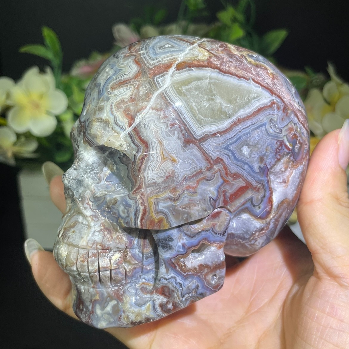 1.7LB 3.9″ Natural Mexican Agate Skull Carved Crystal Reiki Quartz Healing