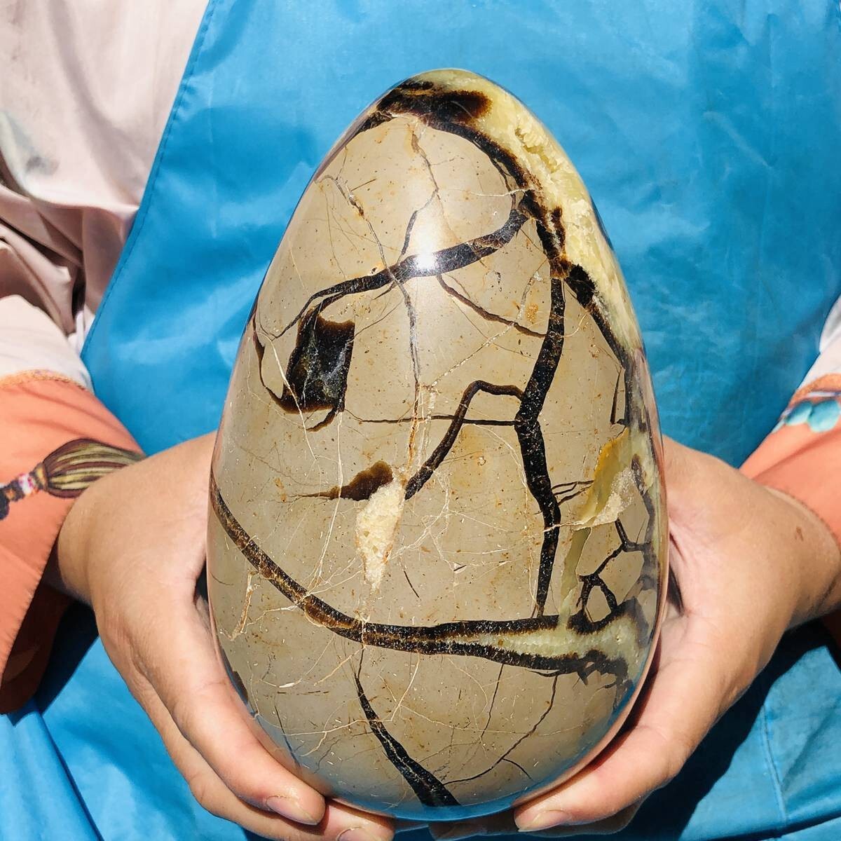 3390G natural turtle shell stone egg spiritual healing KH2124