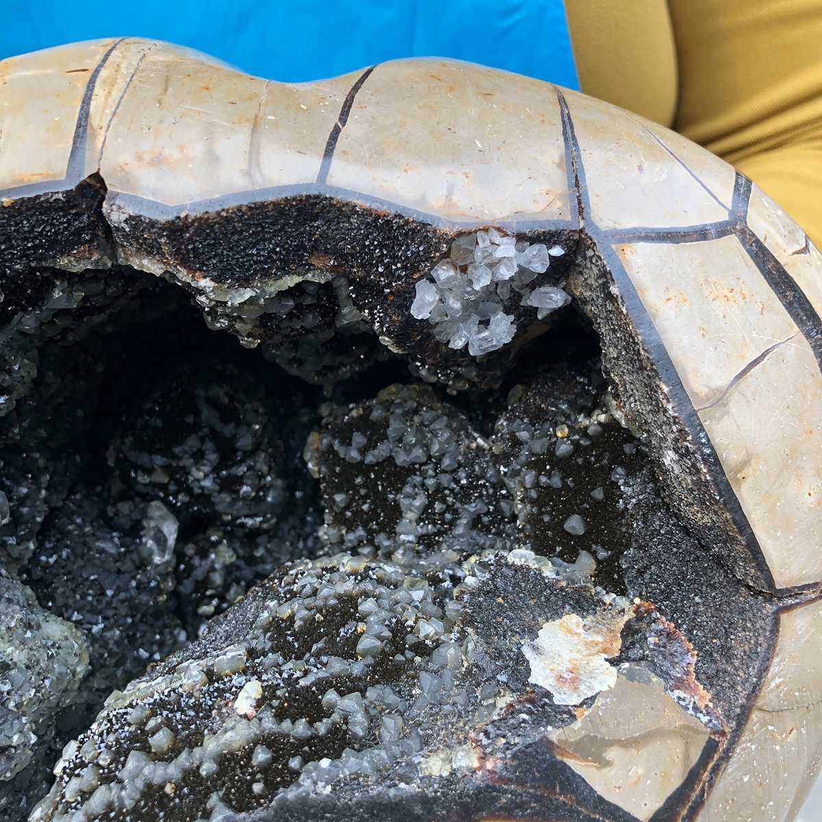10.9KG Natural Turtle Back Stone Dragon Crystal Cave Crack Gem Healing 4355