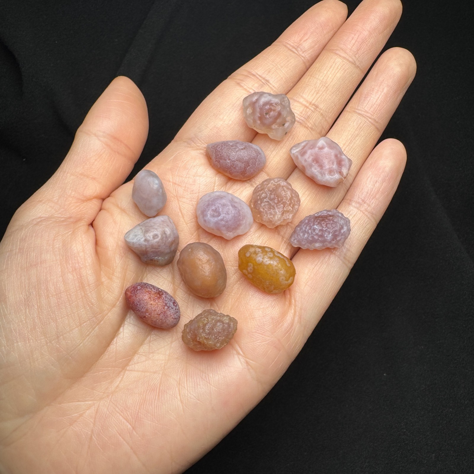 Curated 12-Piece Set: Sugar-Heart & Floral-Eye Alxa Gobi Agates-5905