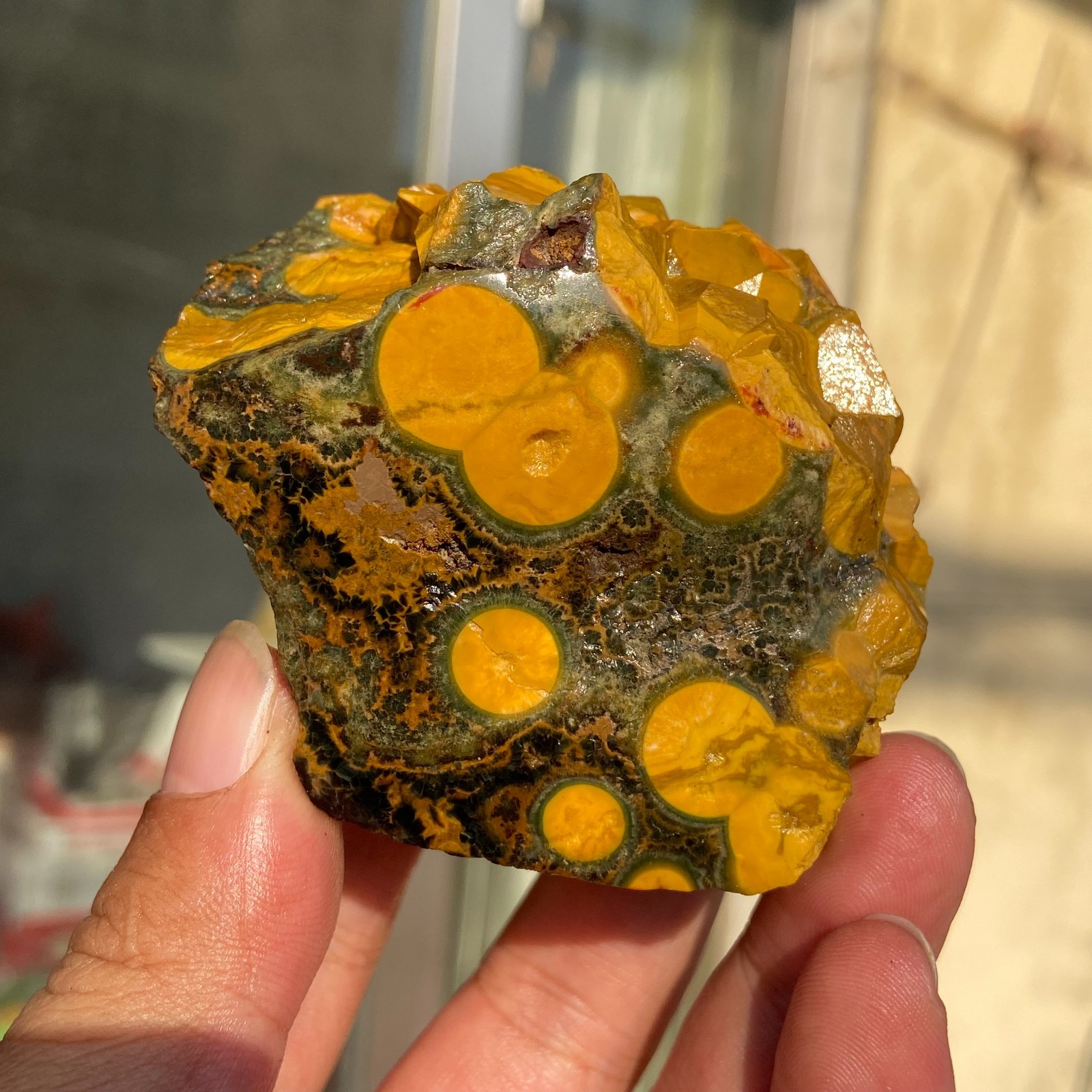 206g Rare Colourful Natural Ocean Jasper Rough Crystal Mineral Specimen Healing