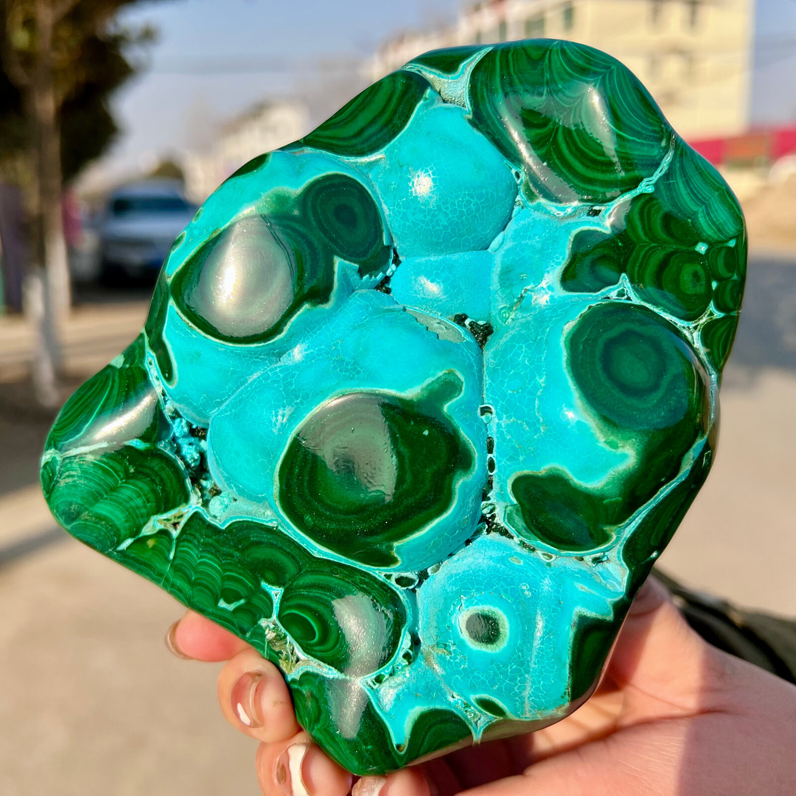 3.03LB Natural tortoise Malachite transparent cluster rough mineral sample