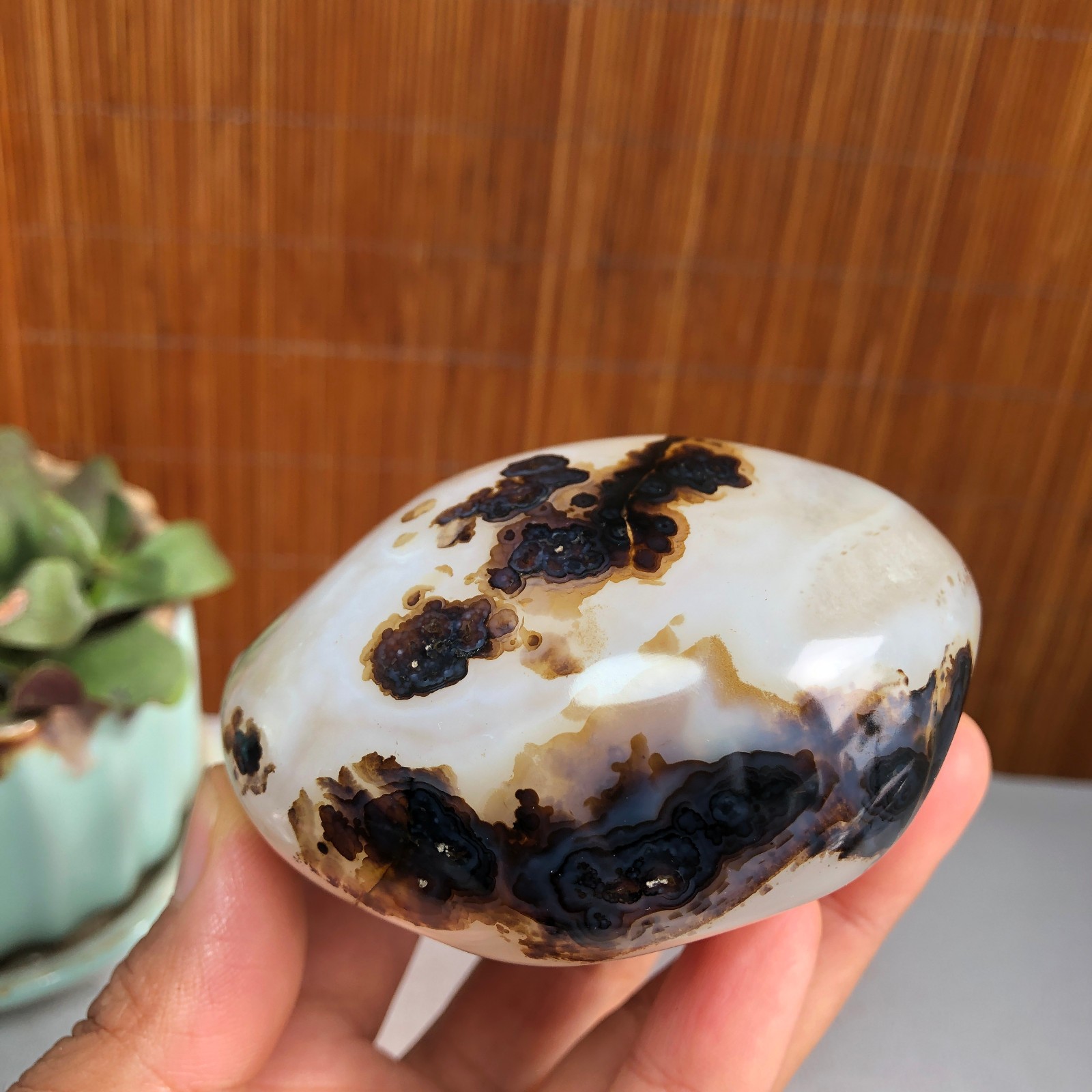 83mm Natural aquatic plants agate pretty Crystal specimens 427g A1482
