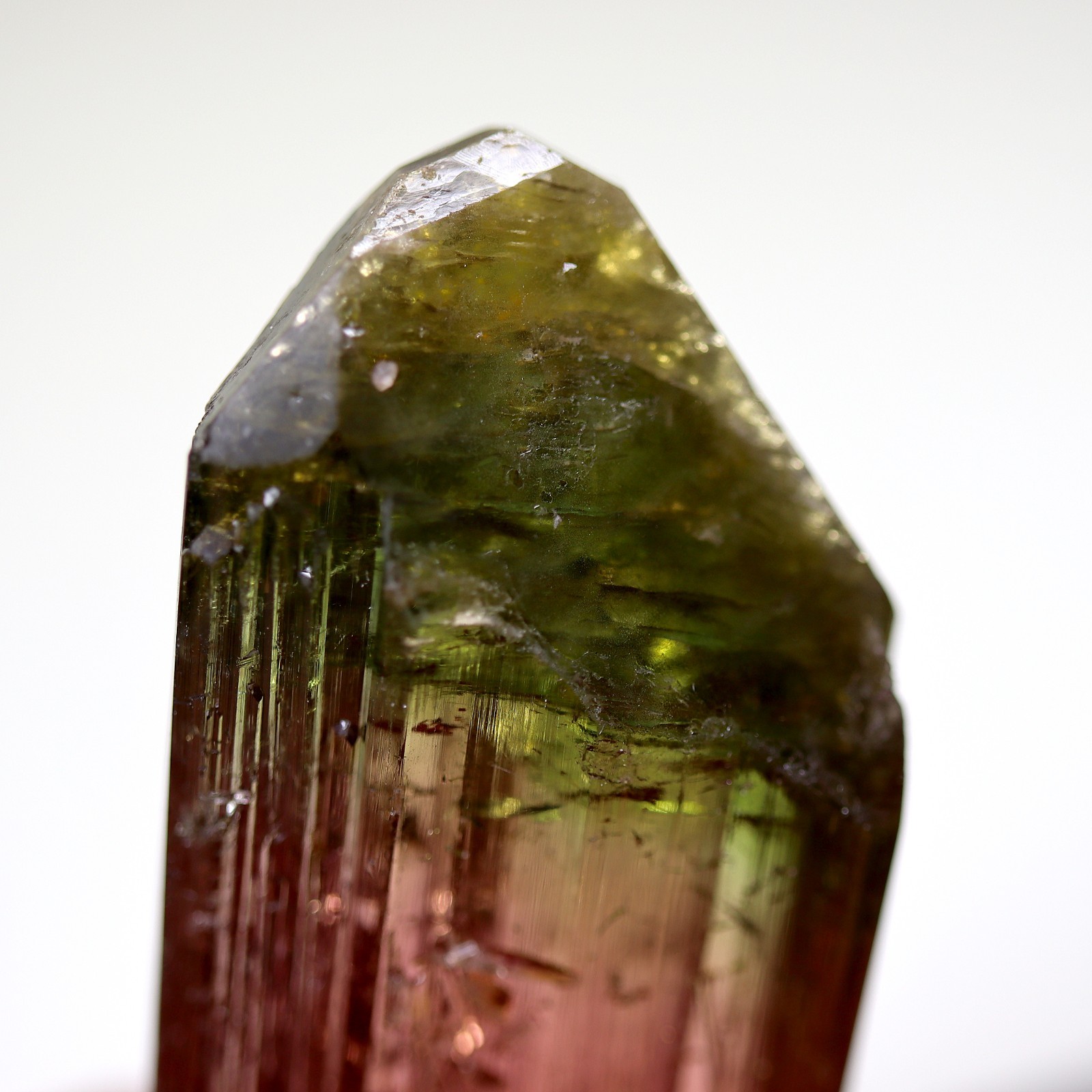 Gem Tourmaline. Nuaparra Pegmatite, Zambezia Prov., Mozambique. About 50 grams