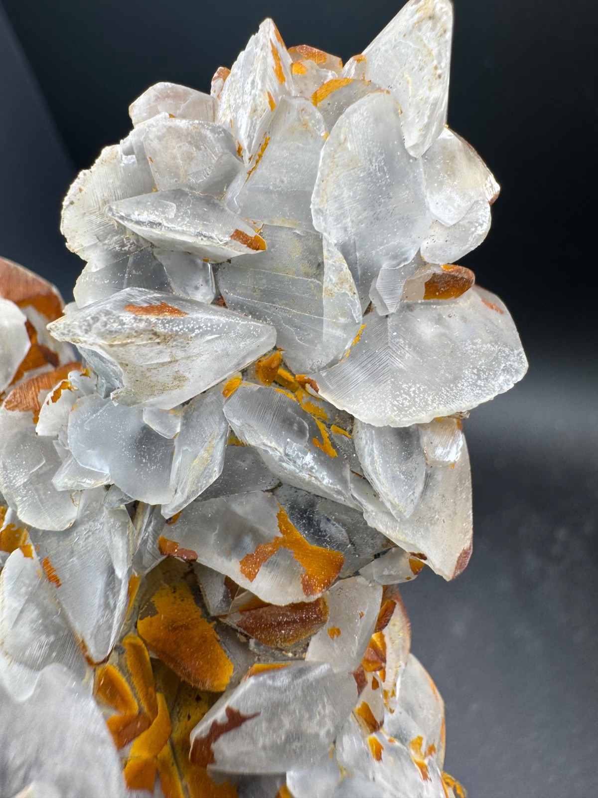 6642 Double Sided Shell Calcite Formation Fu Jian 175g