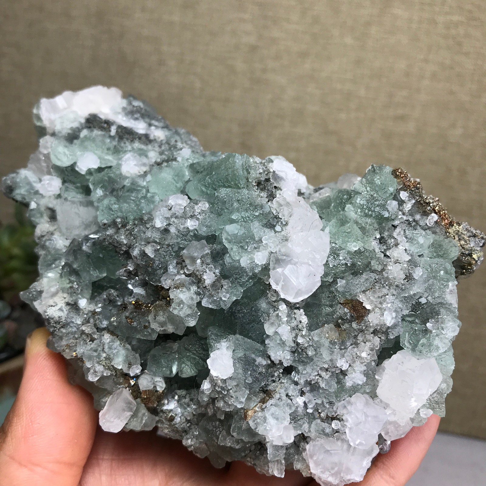 423g NATURAL Green Cubic FLUORITE paragenesis Crystal Cluster Specimen A4779