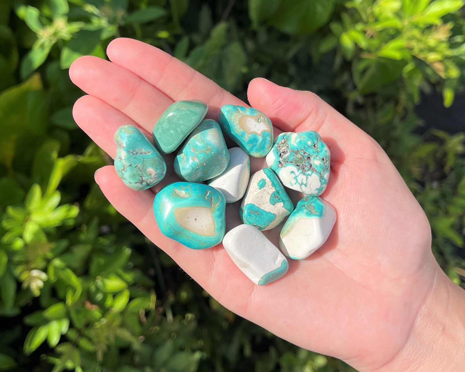 Turquoise Howlite Tumbled Stones: Choose Amount Ounces or lb Wholesale Bulk Lots