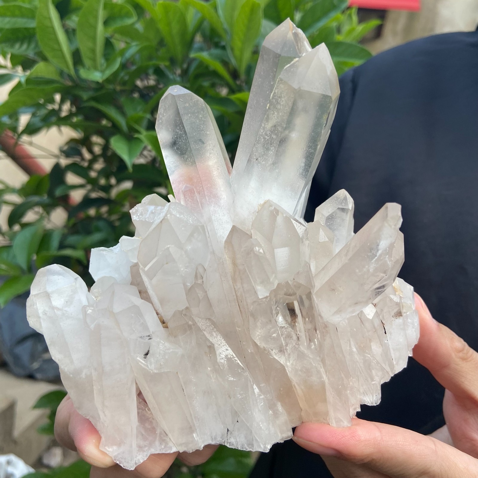 1.5LB Natural clear white quartz crystal cluster mineral specimen healing