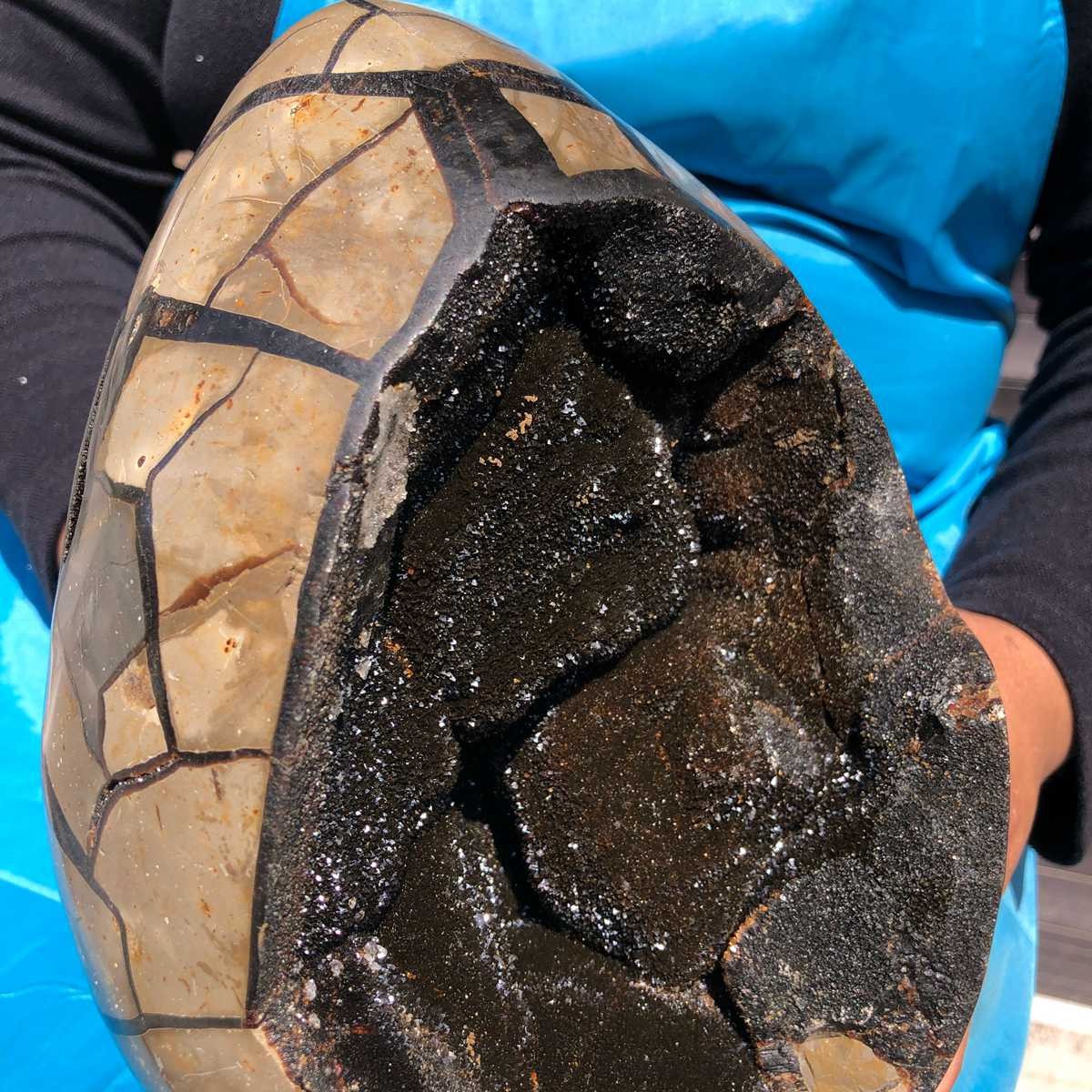 7550G Natural Turtle Back Stone Dragon Crystal Cave Crack Gem Healing 4345