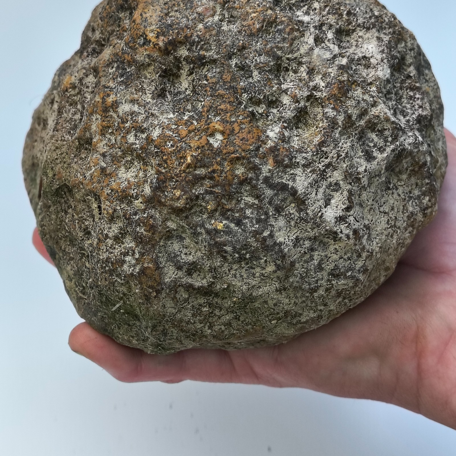 Kentucky Geode Unopened Natural Quartz Crystal Crack Your Own 4lb