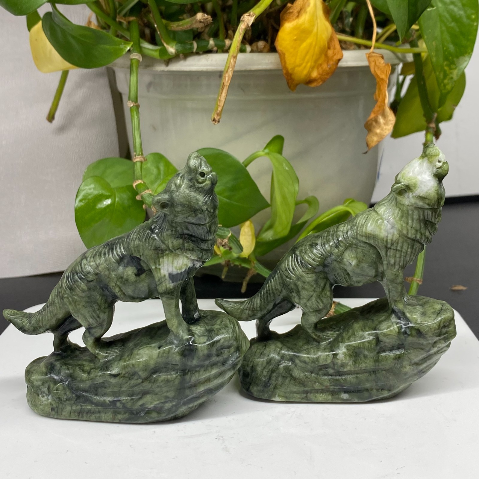 3.4” Natural Green Jade Quartz Crystal Carved Wolf skull reiki healing gift 1pc