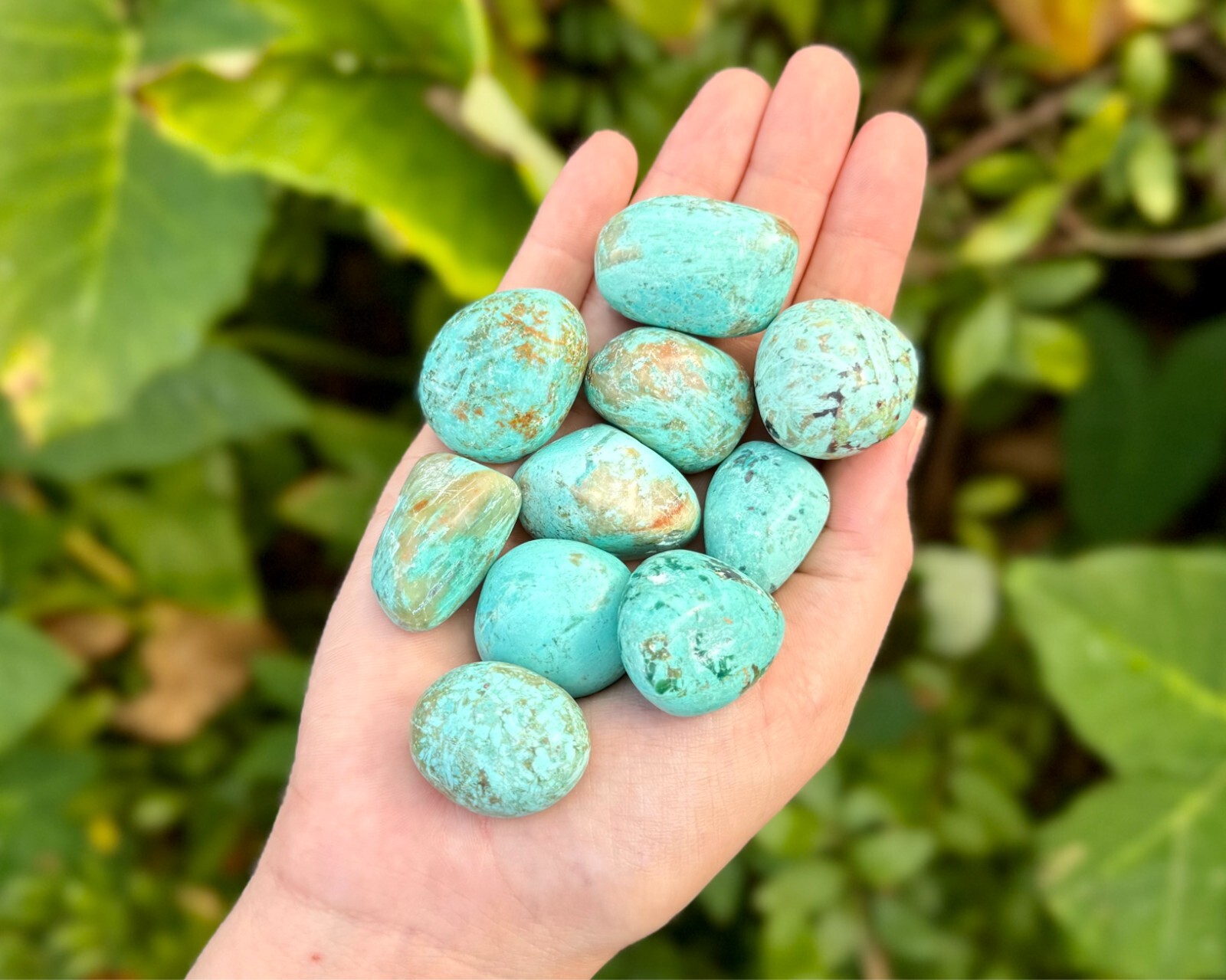 Peruvian Turquoise Tumbled Stones – Choose How Many (Natural Turquoise Crystals)