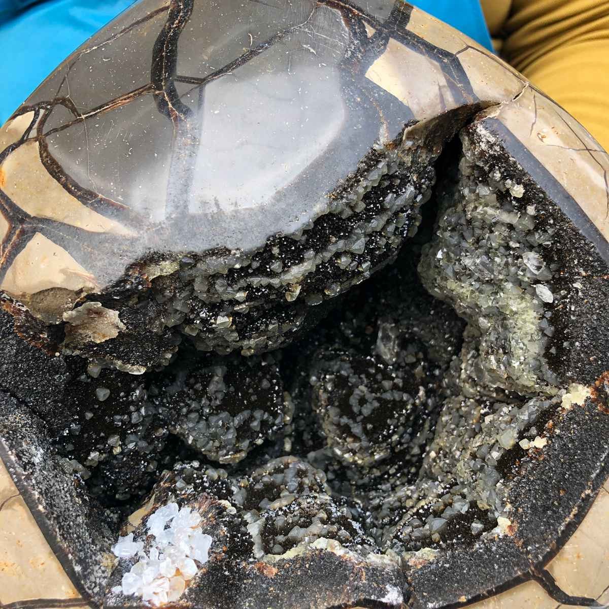 10.9KG Natural Turtle Back Stone Dragon Crystal Cave Crack Gem Healing 4355