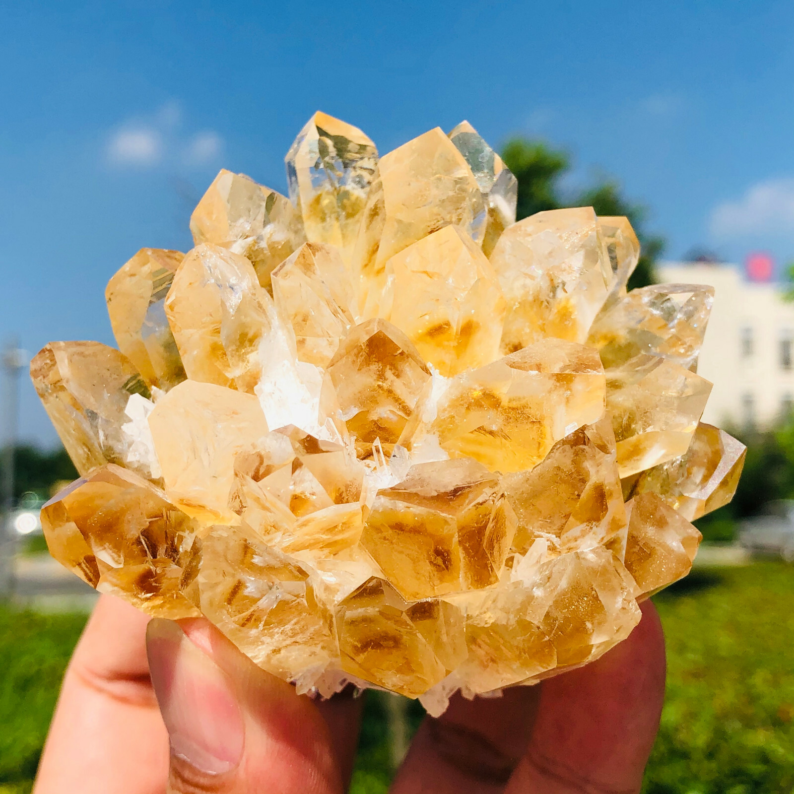 300-400g Yellow Phantom Quartz Citrine Crystal Cluster Mineral Specimen Healing