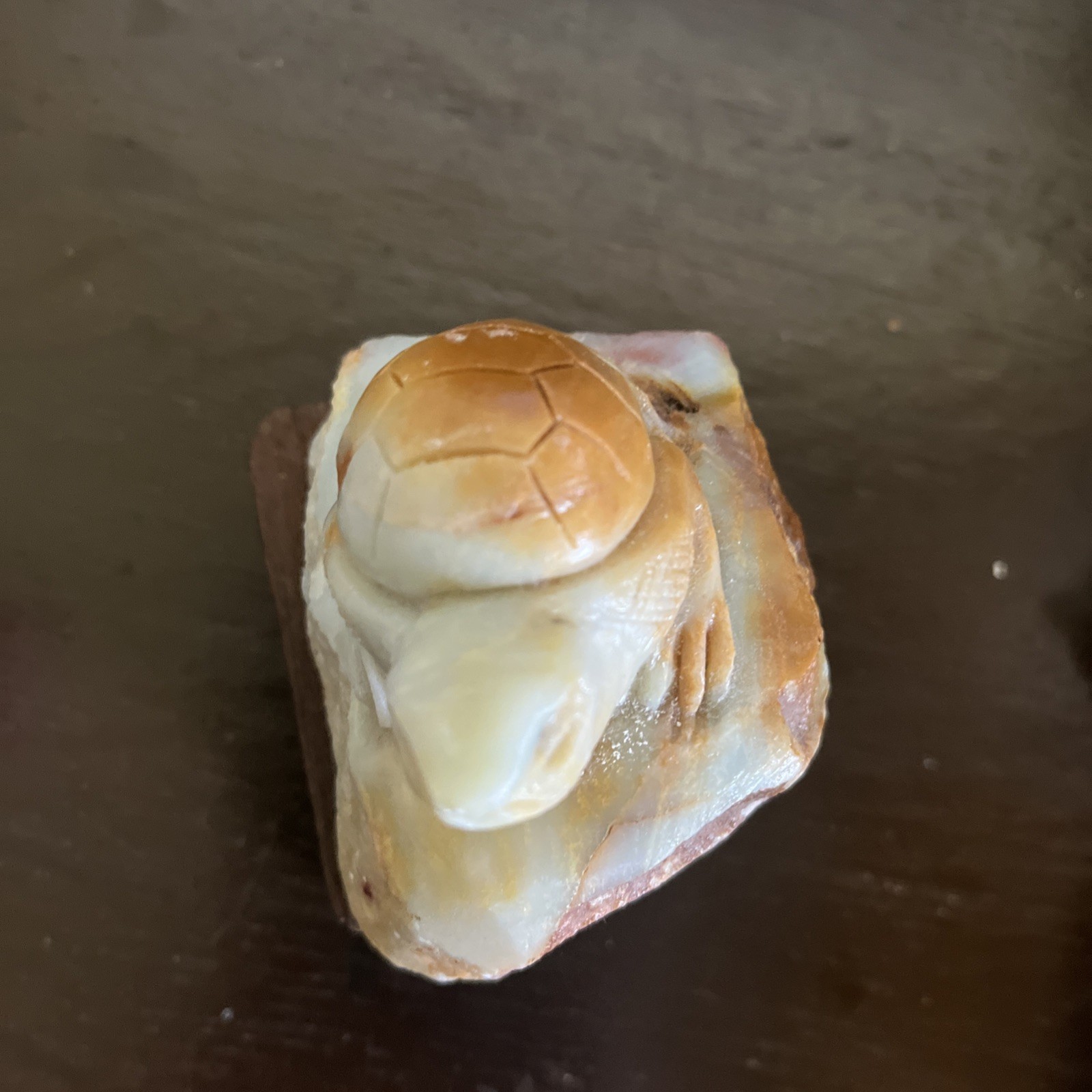 317.5 Gram Amazonite Sea Turtle Stone Carving Large