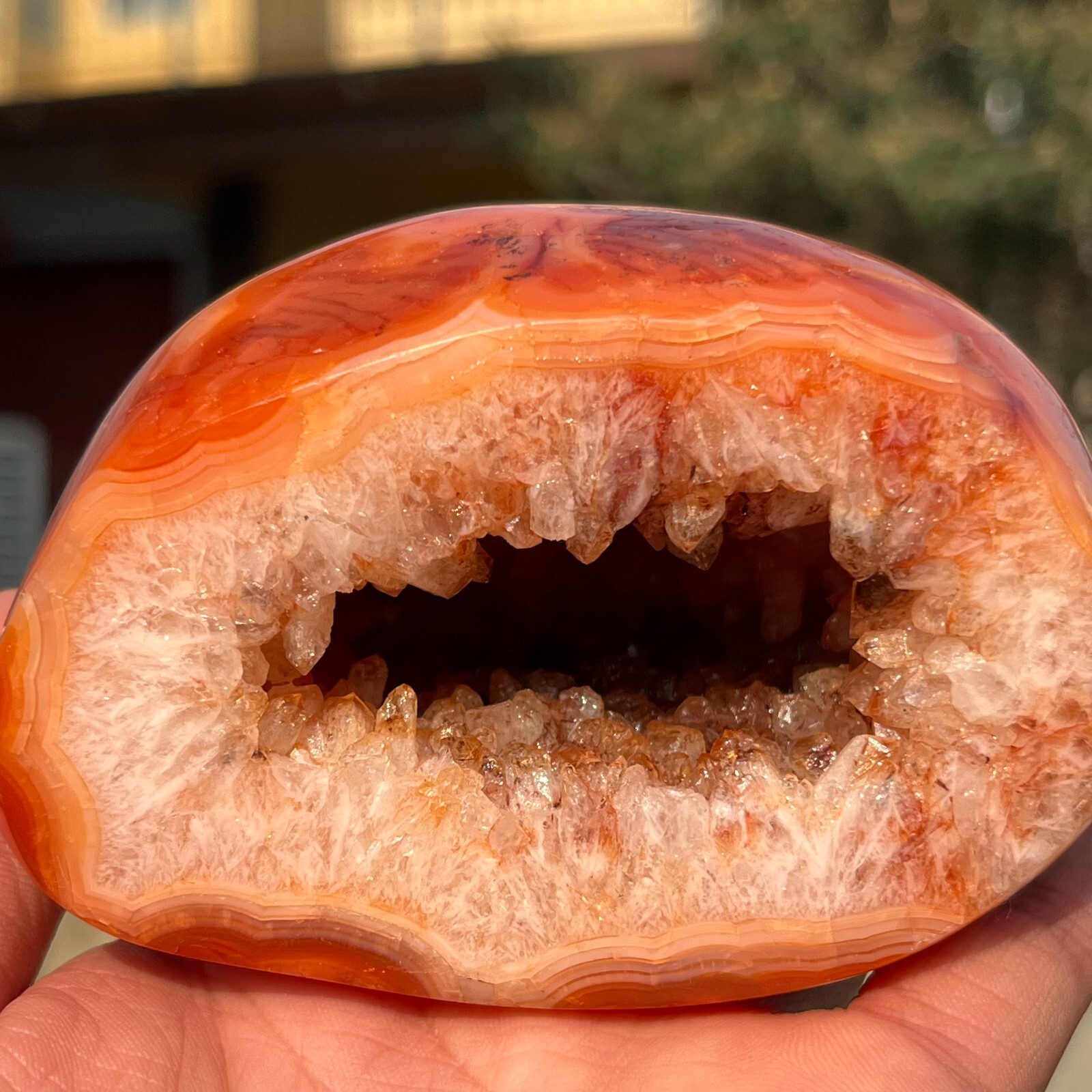 584g Rare Natural Carnelian Geode Agate Quartz Crystal Mineral Healing