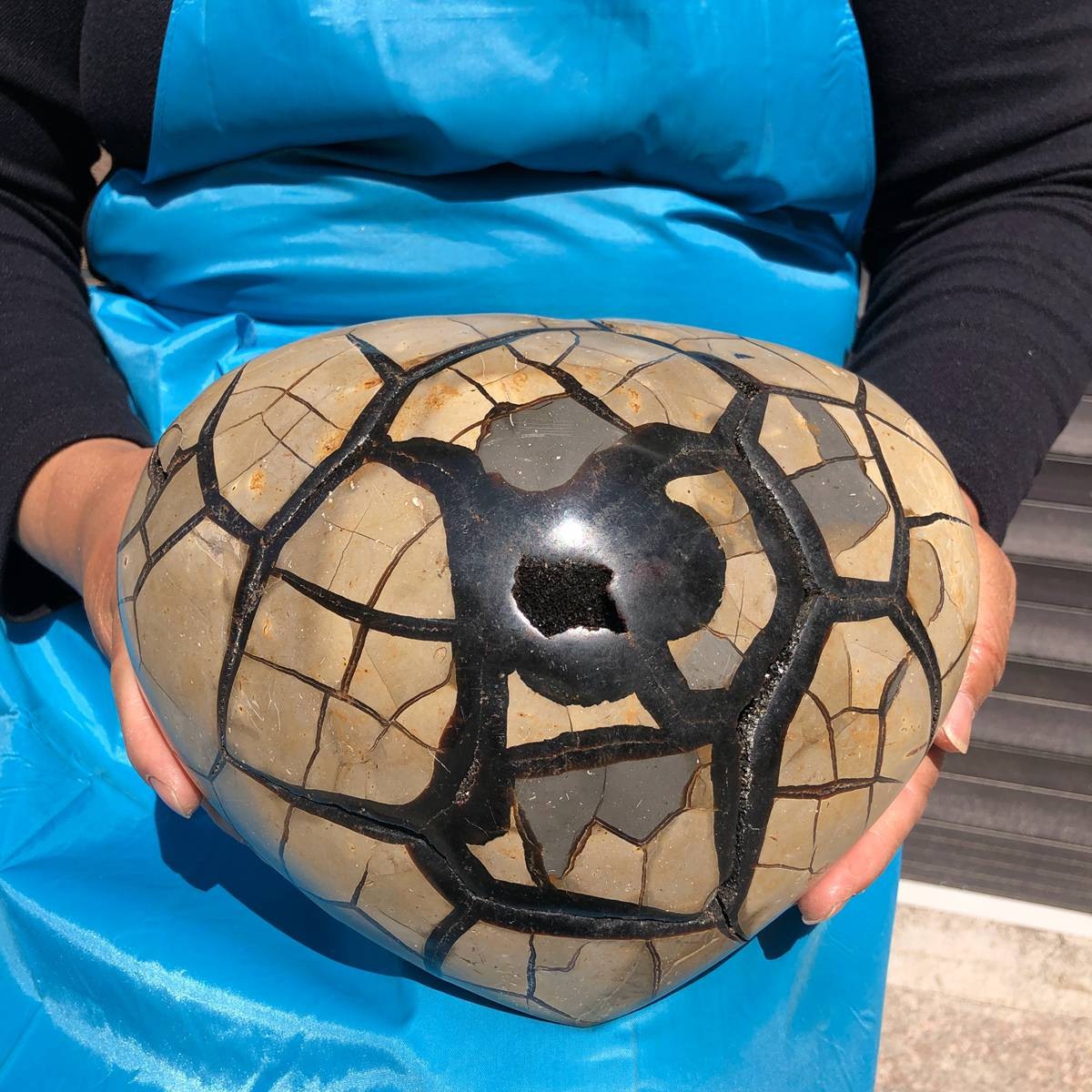 6280G Natural Turtle Back Stone Dragon Crystal Cave Crack Gem Healing 4343