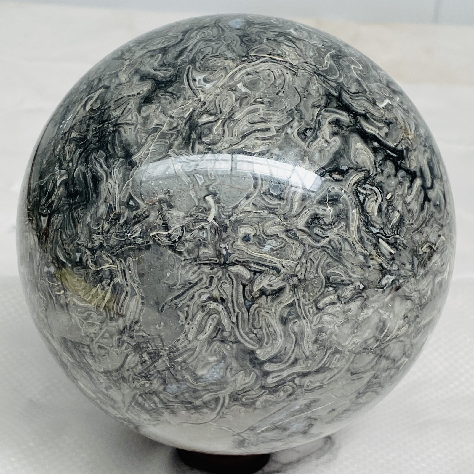 Natural Picasso Jasper Sphere Black Gray Crystal Ball Healing 2296G (5.06LB)