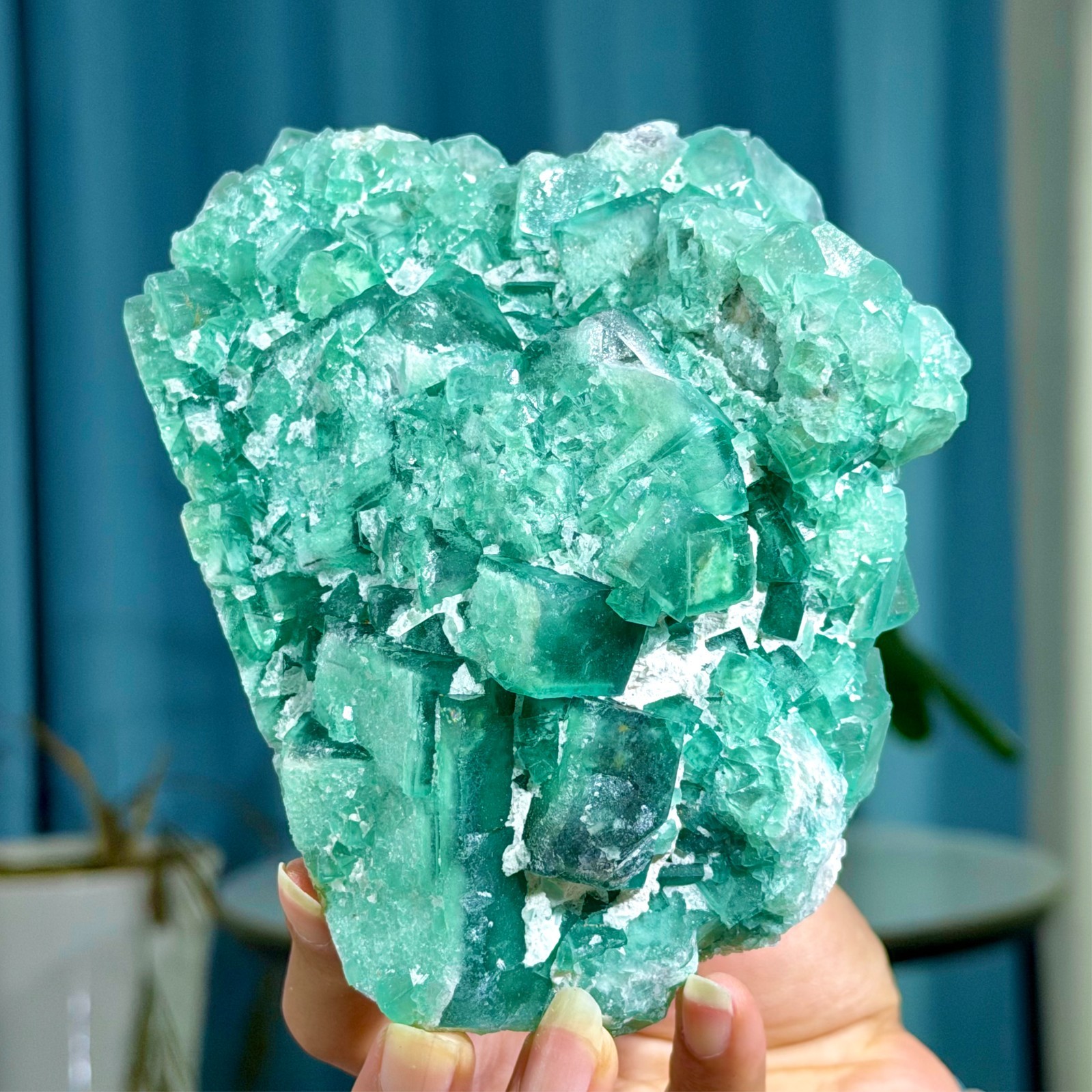 2.22LB Rare transparent green cubic fluorite mineral crystal sample/China