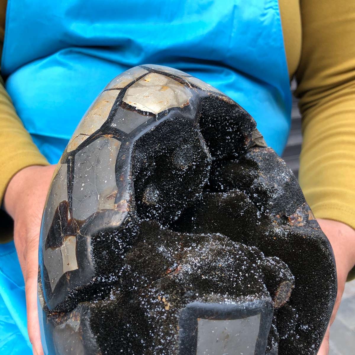 6400G Natural Turtle Back Stone Dragon Crystal Cave Crack Gem Healing 4349