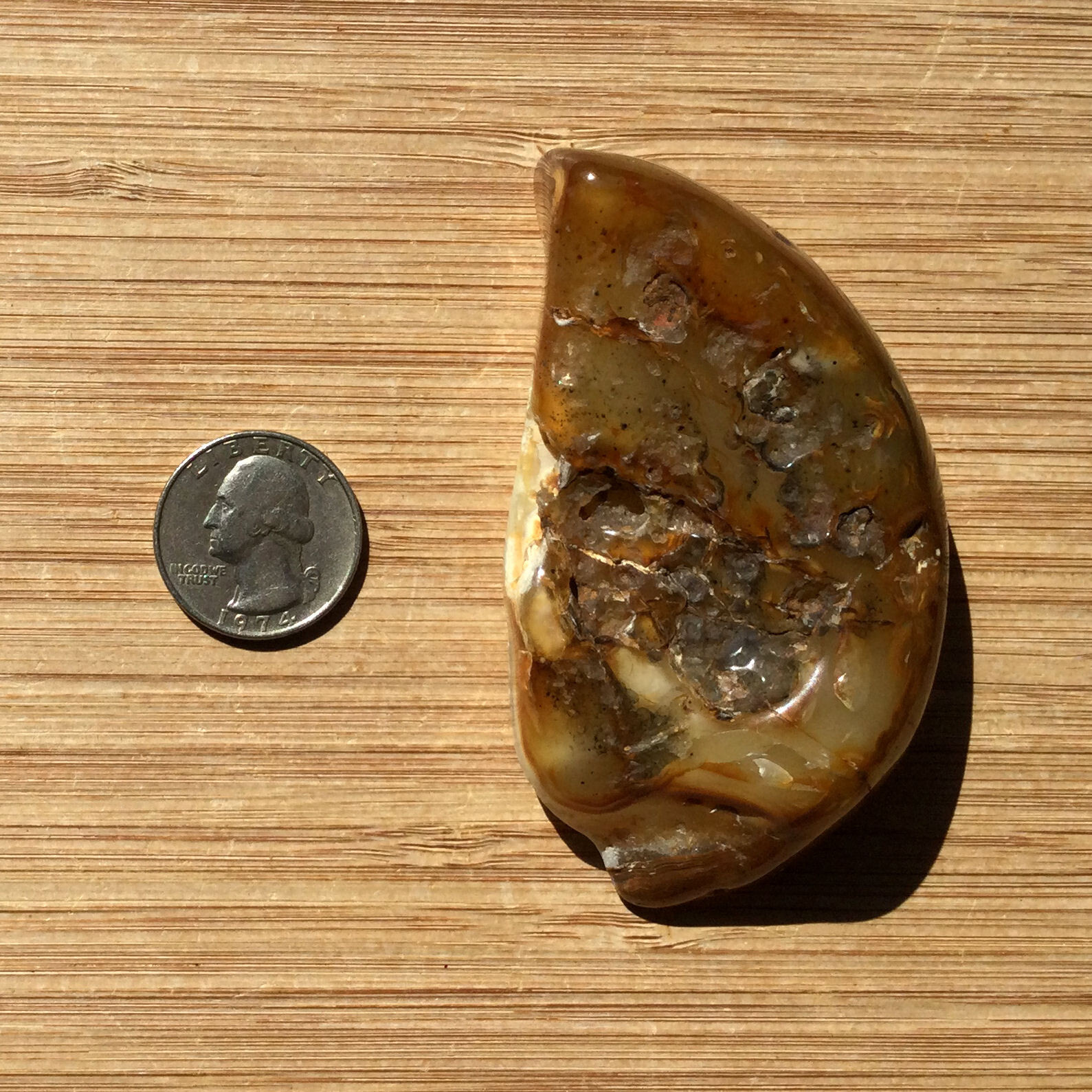 Quartz Crystal Geode Slice Polished End Cut Display Stone Brown Agate Edges 3.5″