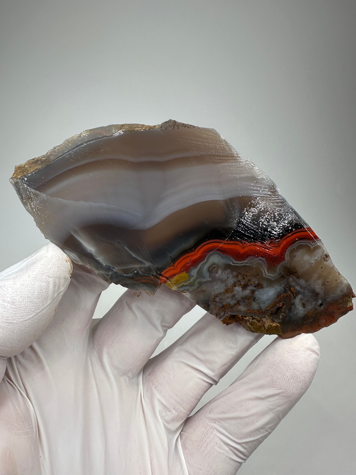 Beautiful Large Kentucky Agate Lapidary Slab from Estill County