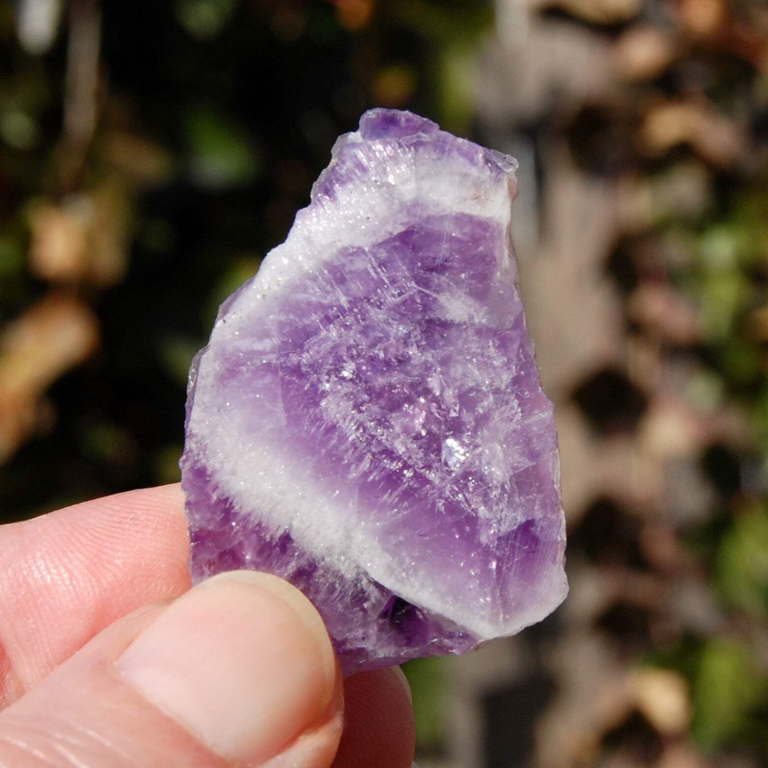 1.5″ Chevron Amethyst Trapiche Quartz Crystal Slice, Zambia ca18