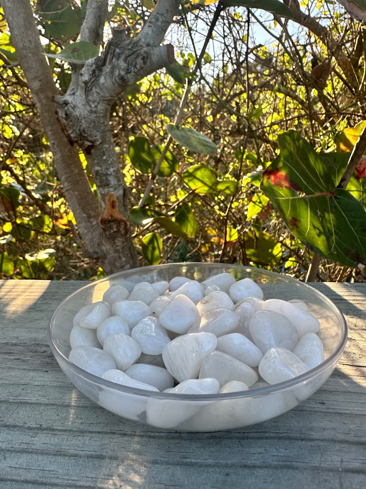 1/2 lb White Quartz Tumbled Stones – Bulk Polished Milky Crystals Lot (8 oz)