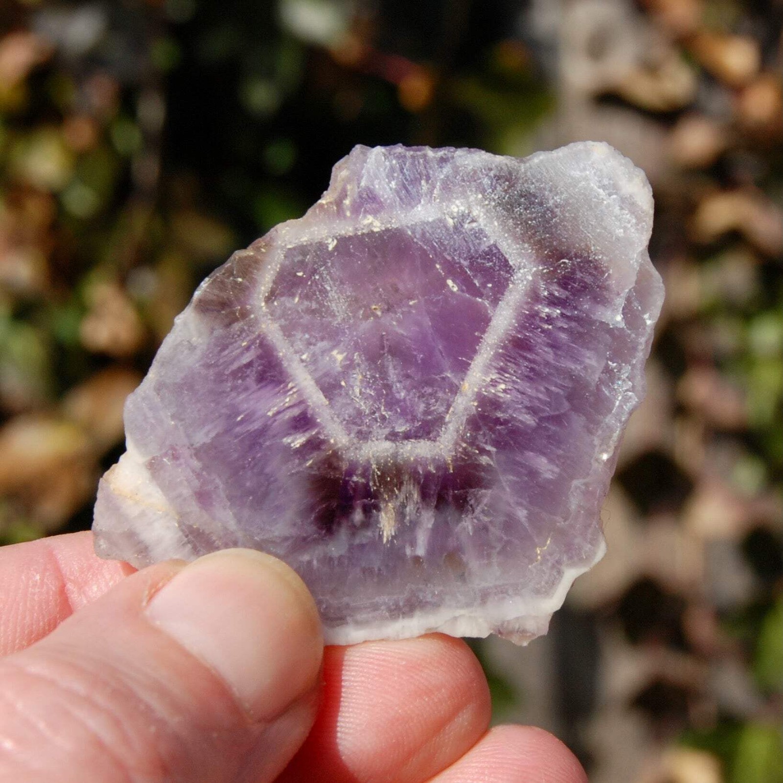 2″ Chevron Amethyst Trapiche Quartz Crystal Slice, Zambia ca9