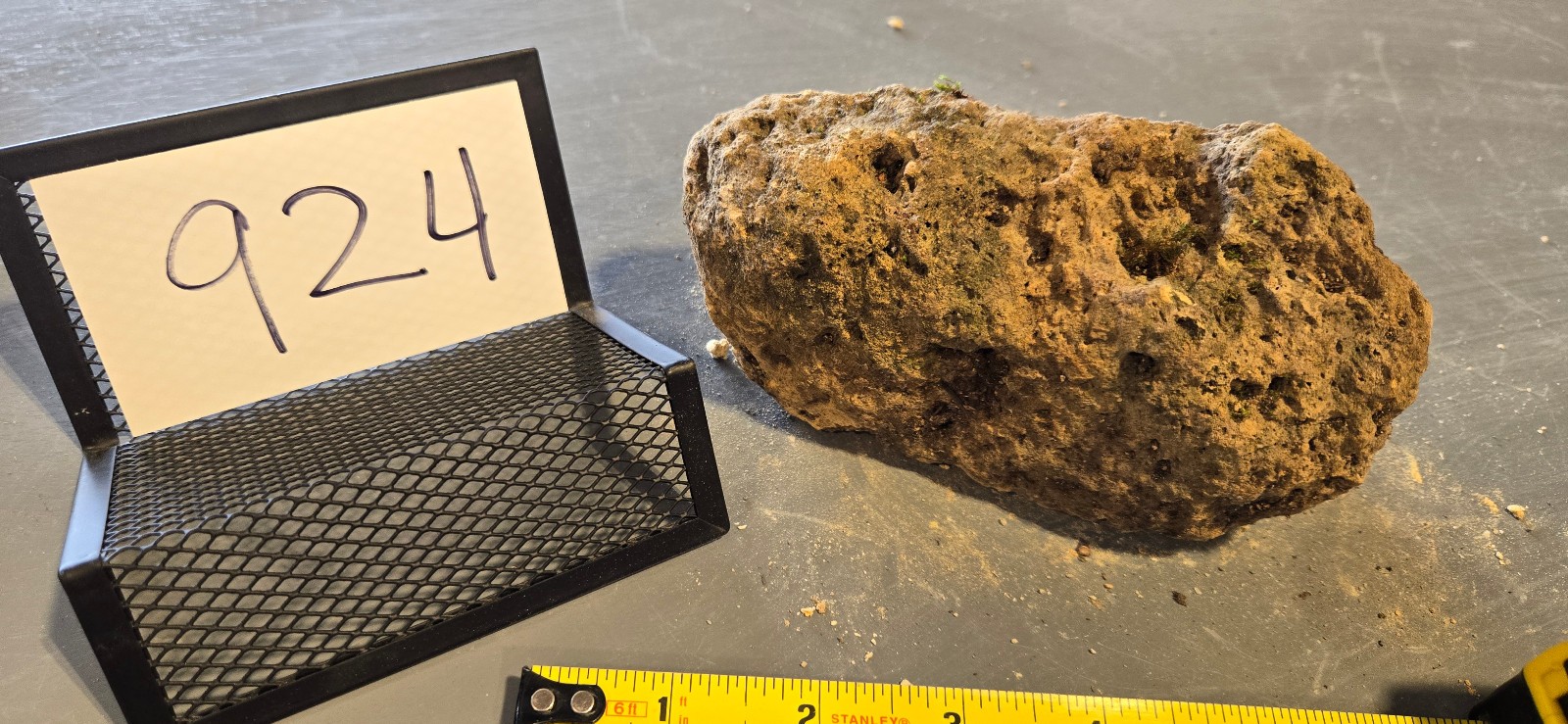 6″ Small Pumice Stone Floating Natural Rock Carnivorous Succulent Garden #924
